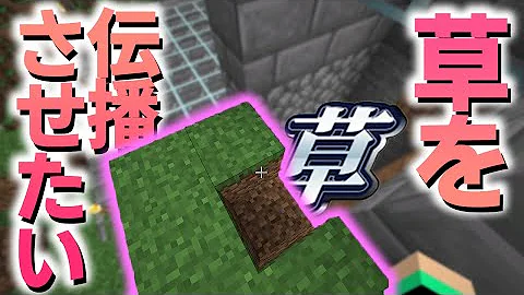 マイクラ草ブロックシルタッチなし