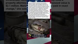 Bookbinders Glue Pot Dissolves Spine Reveals 1783 Land Grant