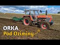 Orka Pod Zboża Ozime! Zetor W Akcji! Czy Da Radę?Zetor12011/45 pług fortschritt B-201