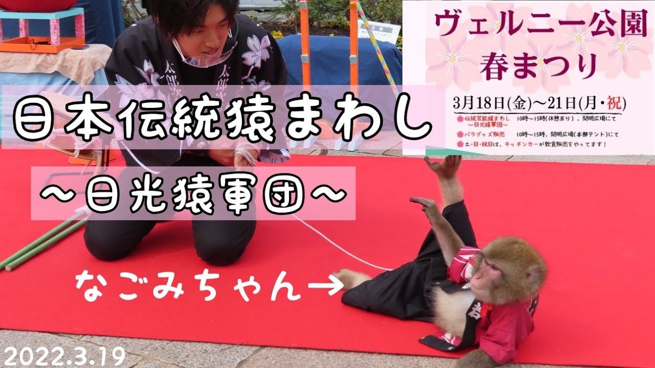 日本伝統猿まわし～日光猿軍団～ ヴェルニー公園春まつり