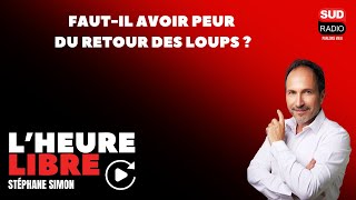 Faut-il avoir peur du retour des loups ? - L'Heure Libre