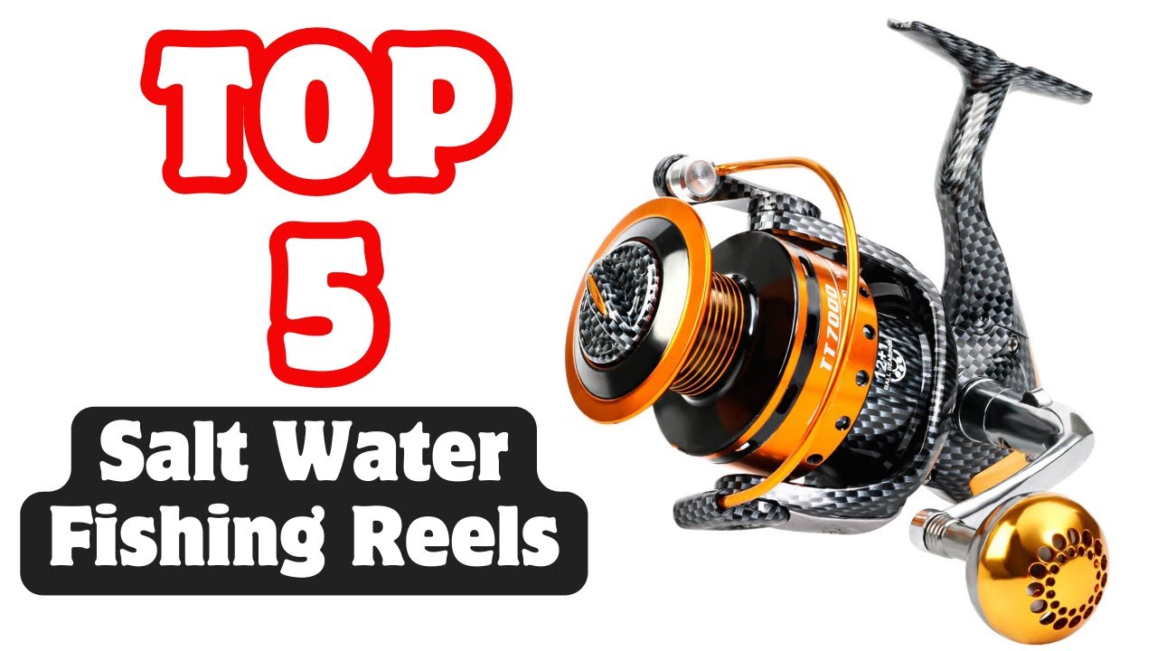 Best Salt Water Fishing Reels On  