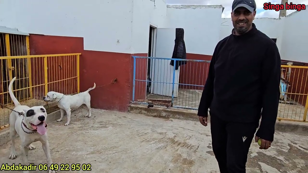 زيارة مفاجأة عند مولوع وبطل🏆 عبد القادر 🏆حدا سوالم 😱واحسن الكلاب🏅 الحراسة 🔞ممنوع ⛔علي قلوب 💥الضعيف 💥