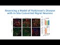 Reversing a Model of Parkinson's Disease with In Situ Converted Nigral Neurons