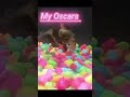 My Oscars #trending #nothingimposibleinthisworld #100likes #minivlog #Fish# Aquarium #