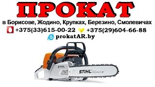 Прокат Аренда бензопилы Stihl в Борисове, Жодино, Крупках, Березино, Смолевичах(, 2014-05-01T18:50:25.000Z)