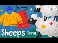 Sheep Activities and Wool Products