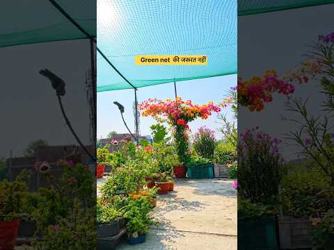 Green net nahi hai? Tension mat lijiye  #greennet #shadenet #terracegarden #summergardening
