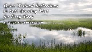 Quiet Wetland Reflections in Soft Morning Mist for Deep Sleep