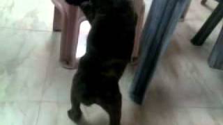 20042011.mp4