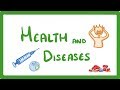 Gcse biology  health and disease  33