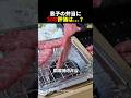 手づくり弁当に父親から辛口評価