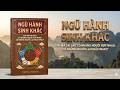 Ngũ Hành Sinh Khắc – Giải Mã Tại Sao Có Người Hợp Nhau, Có Người Lại Khắc Nhau | Triết Học Huyền Bí