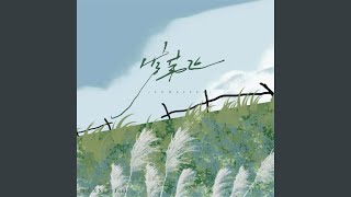芦苇飞