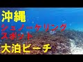 【沖縄旅行】車で行ける沖縄のシュノーケリングスポット！