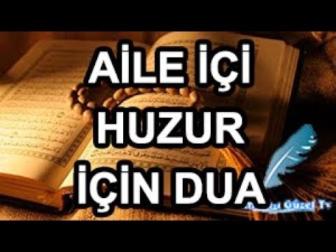 Video: Çok Kedili Bir Evde Huzuru Korumak