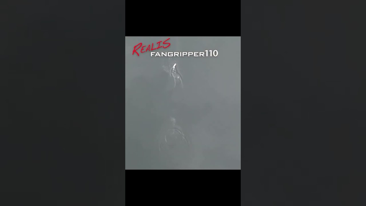 ISCA DUO REALIS FANGRIPPER 110 