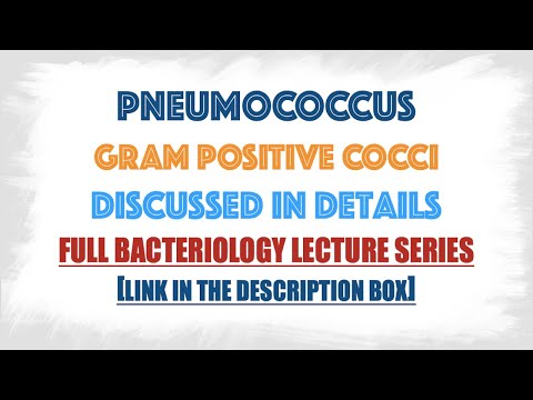 Video: Streptococcus Pneumoniae Virulentsuse Võrdlus Kolme Erineva Päritoluga ICR Hiirevarudes