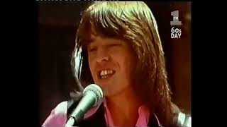 The McCoys - Hang On Sloopy (1965)