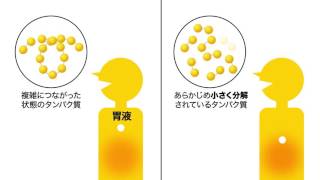 【酵素分解ローヤルゼリー】独自の酵素分解技術