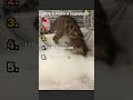 DONT CLICK THE SOUND !!