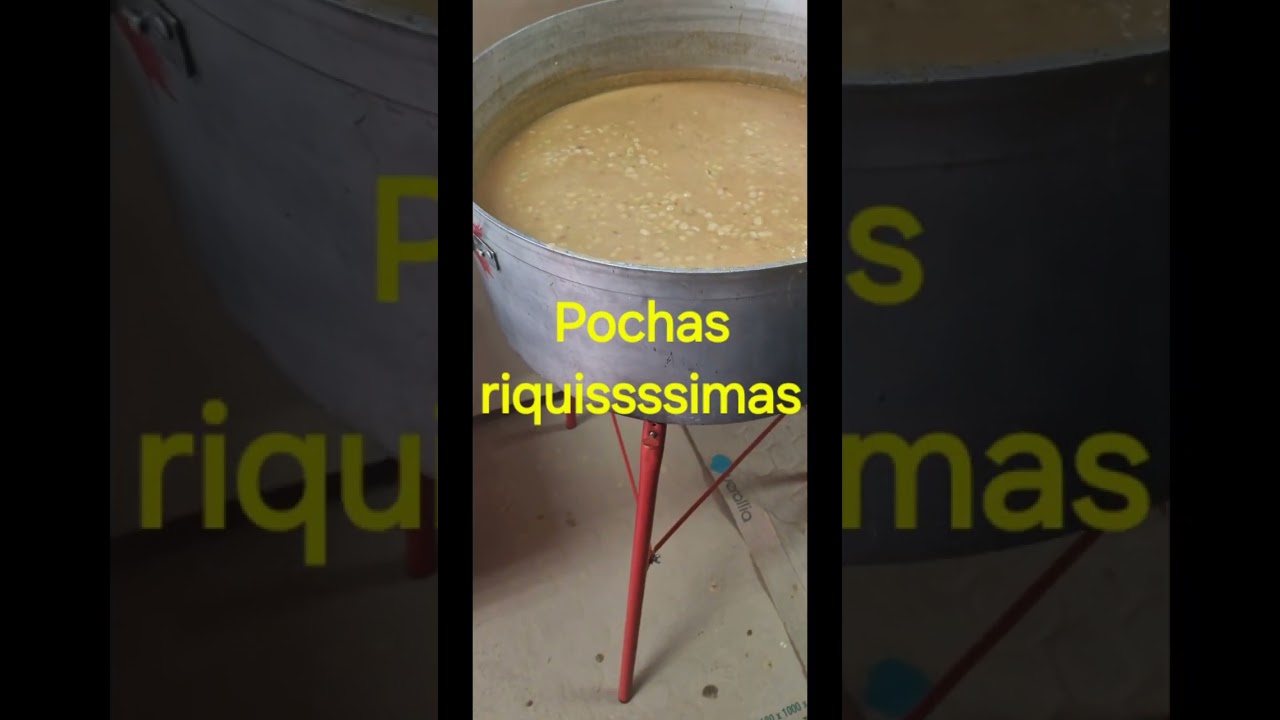 ANDOSILLA GASTRONOMICA 2025!