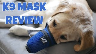 Celebrity Dog Anti Air Pollution Mask // K9 Mask Dog Air Filter Review // Smoke Mask For Dogs Wealth
