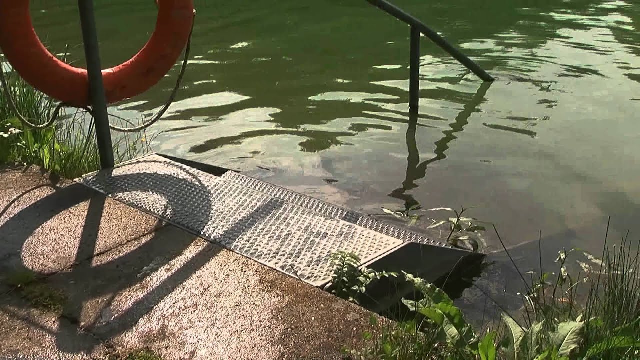 Spaß und Fun im Waldbad in Velburg für groß und klein...