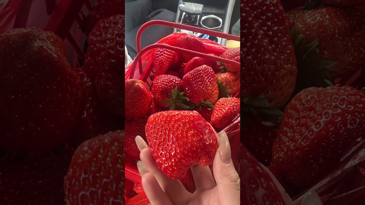 Teach Kids Conflict Resolution: Avoiding Brawls & Fear in English