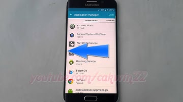 Android Lollipop : How to stop application service in use on Samsung Galaxy S6