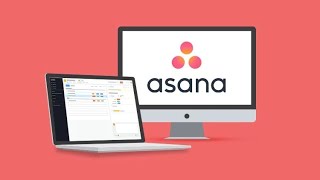 Asana Tutorial Recordings for Absolute Beginners Profile