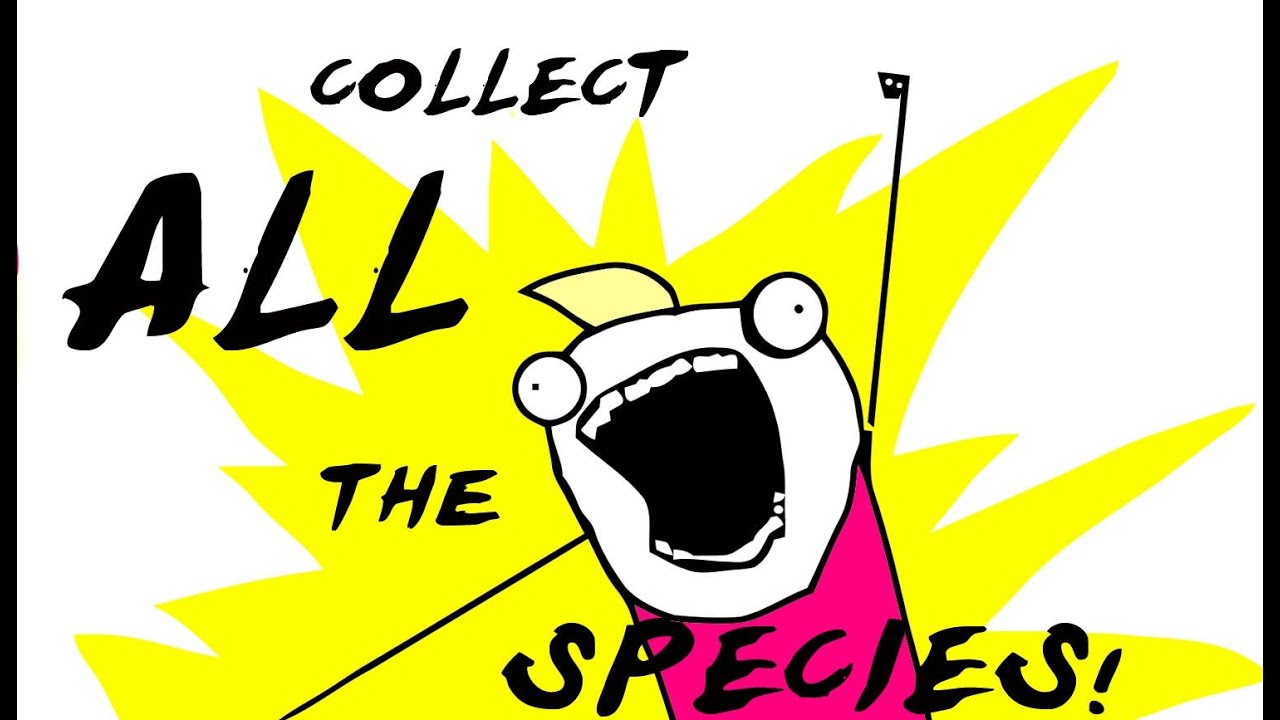 Ask Joe #19 Noah's Ark - Was it Real?