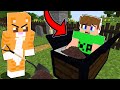 ÉLVE ELTEMETETT KORMI A MACSKÁM A MINECRAFT-BAN! 😱