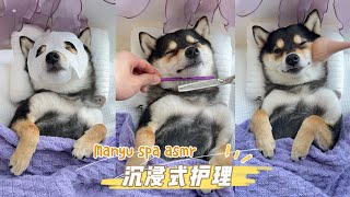 曼玉每周沉浸式护理Spa Asmr ，今天的曼玉是紫色的😜