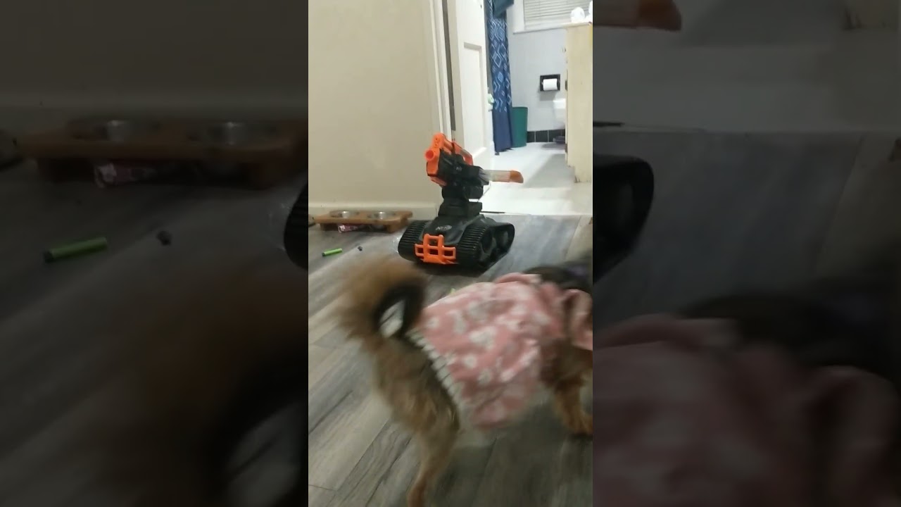 Nerf Terrascout in 2024