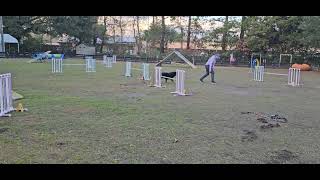 omd beyond foundation ex 5a handling behind (2)