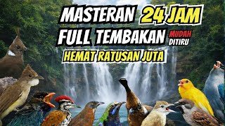 MASTERAN FULL TEMBAKAN BURUNG FIGHTER | GACOR, MUDAH DITIRU