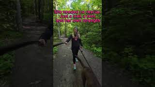 GIRLS! Take the SOLO TRIP! #solocamping #girlpower #dogs #hike #algonquinpark