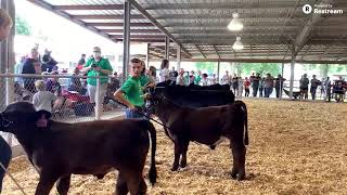 2020 4-H/FFA Bucket/Bottle Calf Show