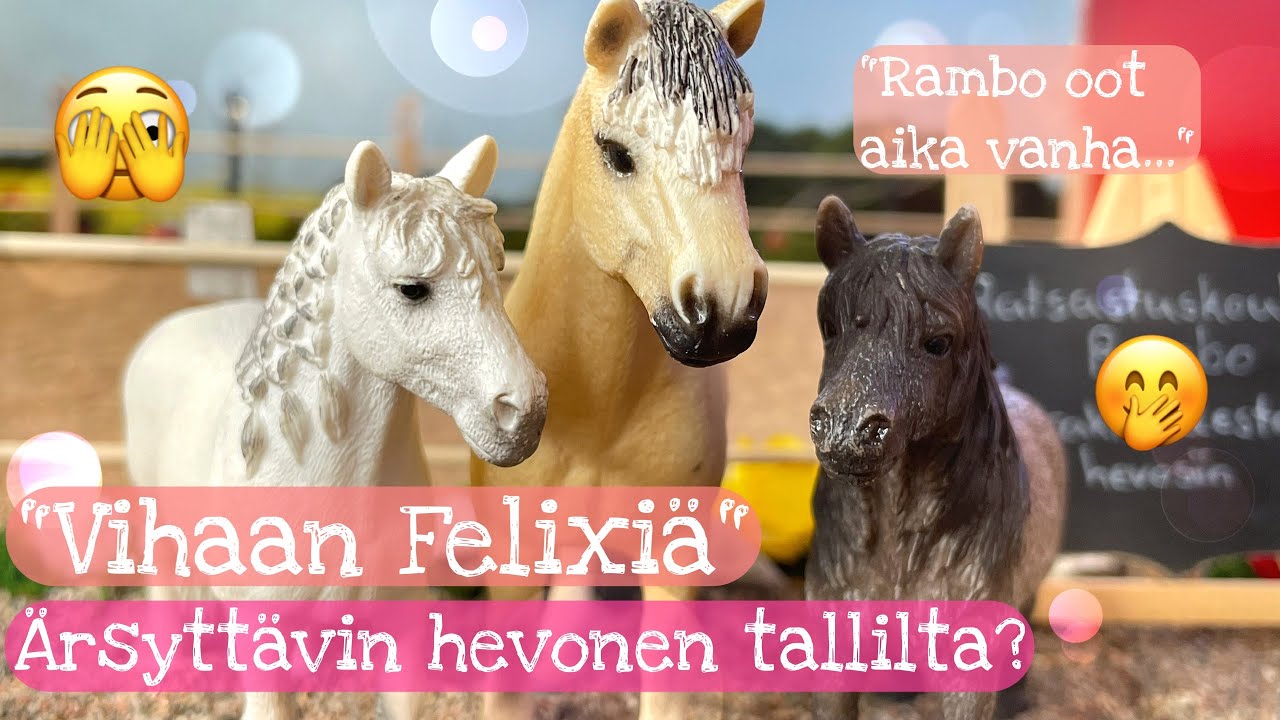 FELIX & CASH VASTAILEE KYSYMYKSIIN😎😂 +RAMBO