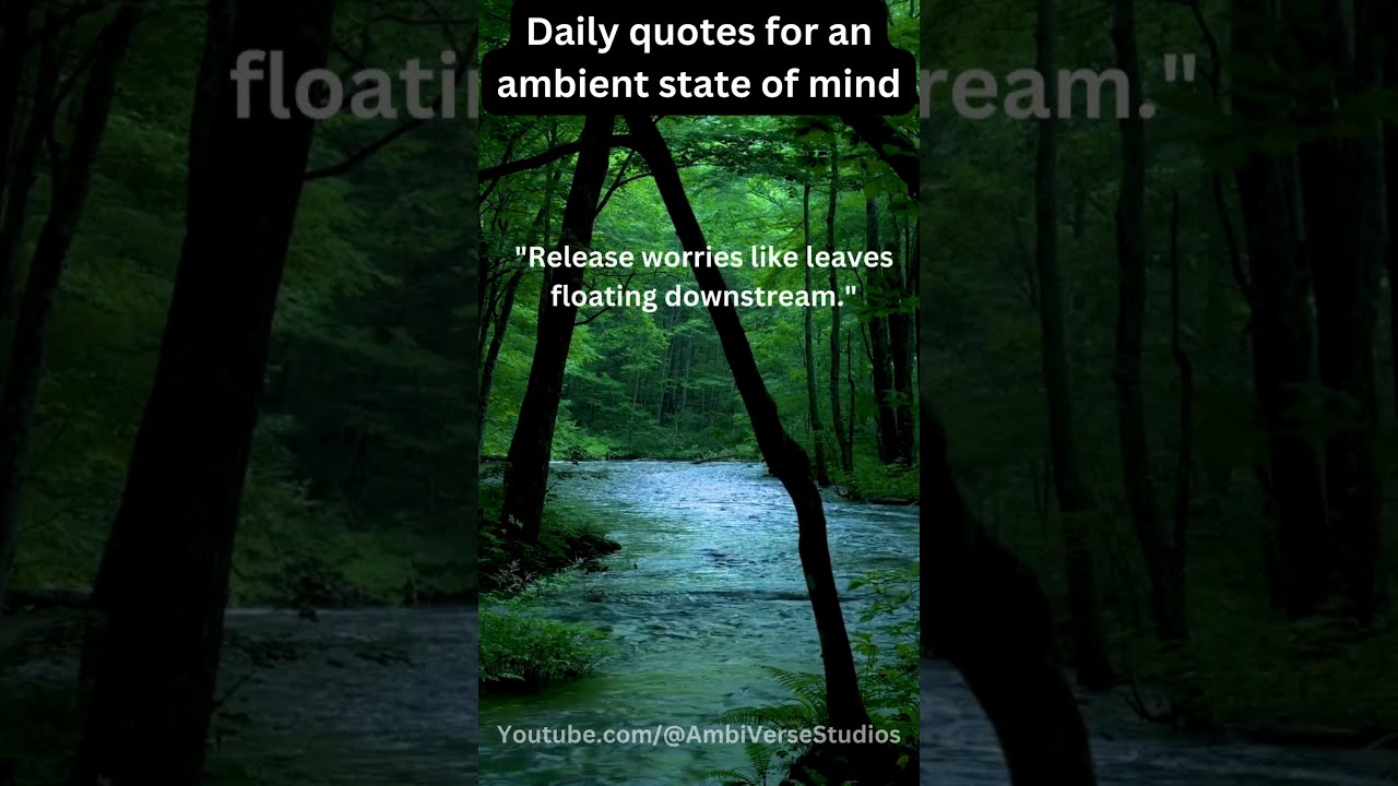 Daily Quotes For An Ambient Mindset 11
