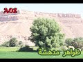 ظواهر مدهشة متعة القلب القاسي ظواهر مدهشة متعة القلب القاسي