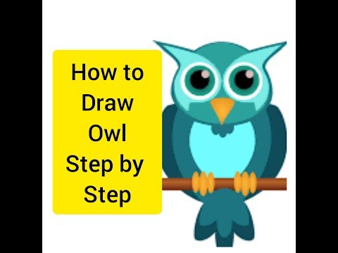 how-to-draw-an-owl-step-by-step-for-beginners