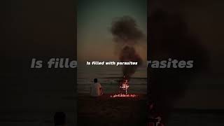 Surf Curse - Freaks | (Slowed reverb) | lyrics | aesthetic | whatsapp Status | slowed #Surf Curse