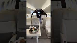 Flying in Absolute Luxury: Dassault Falcon Private Jet Tour! ✈️