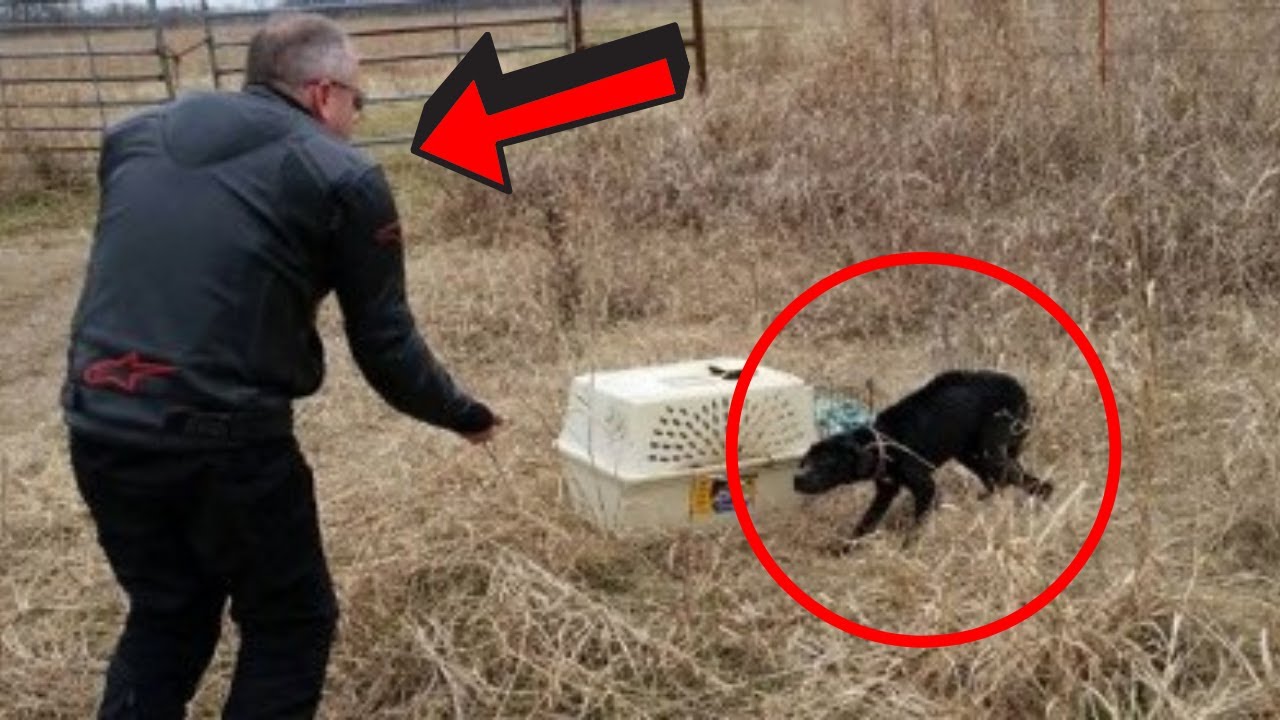 Dad and son spot a crate on a remote field while on a road trip, are taken aback by what’s inside it