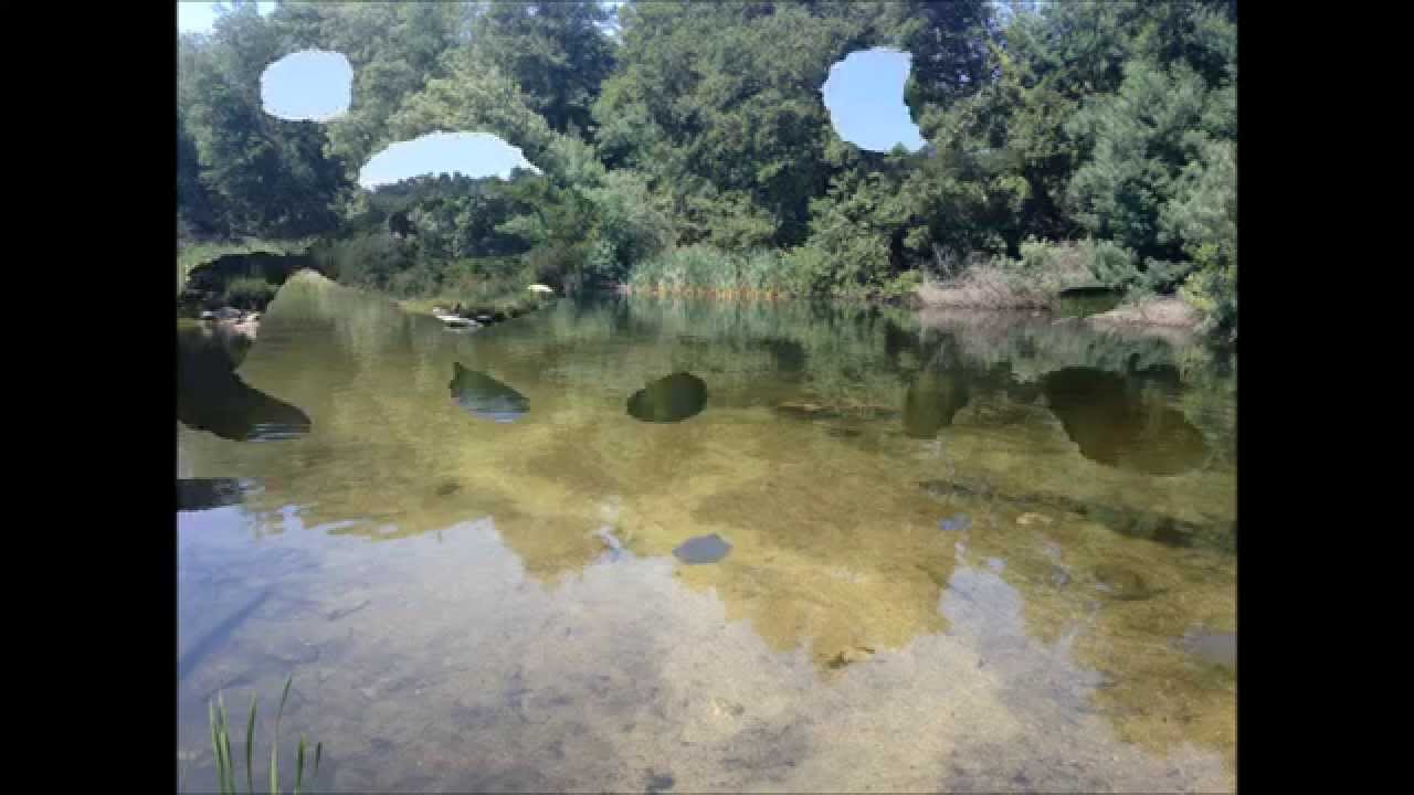 Enchanted Island 2013 video fotografico  @igor spacesun