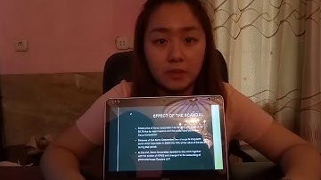 audit project (XEROX CORP)