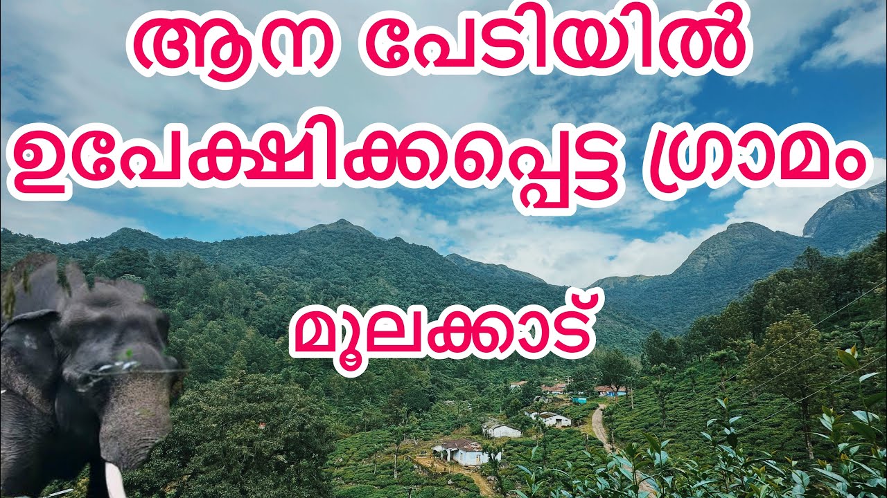 Abandoned village in fear of elephants Moolakkad | ആന പേടിയിൽ ഉപേക്ഷിക്കപ്പെട്ട ഗ്രാമം മൂലക്കാട് |