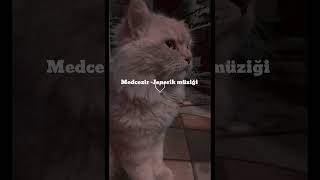 Medcezir-jenerik müziği sped up